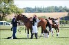 UKPA NC SAT_2306